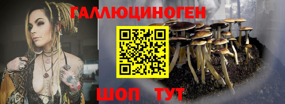 Псилоцибиновые грибы MAGIC MUSHROOMS  Вход с VPN  Галлюциногенные грибы мухоморы  Нижневартовск 