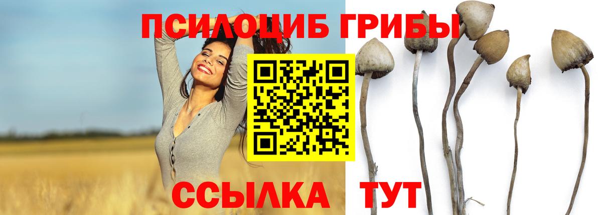Псилоцибиновые грибы мухоморы Нижневартовск